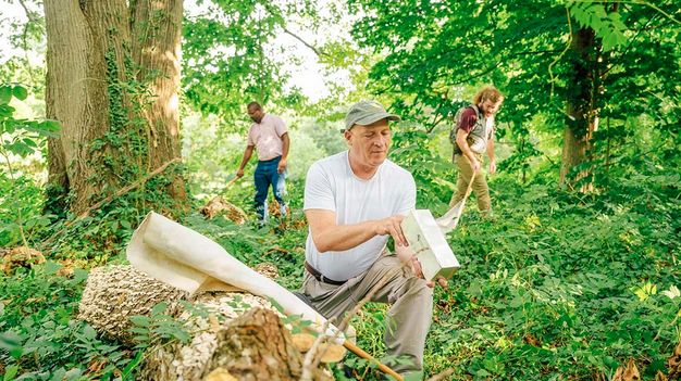 UNCG Professor Gideon Wasserberg and his collaborators investigating insects in the field